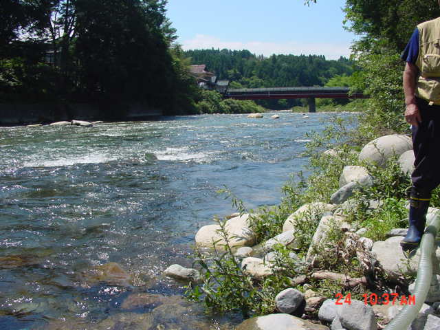 f0133551_2054735.jpg