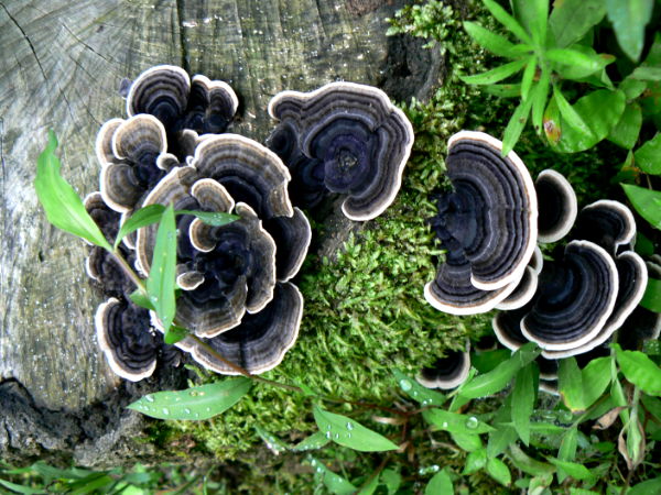 d0091754_21132527.jpg