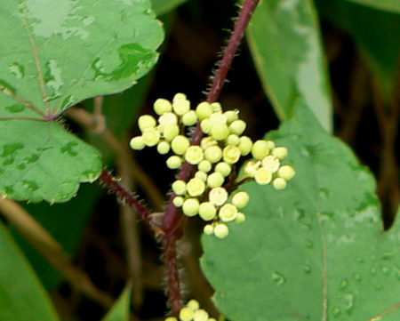 d0091754_2121871.jpg