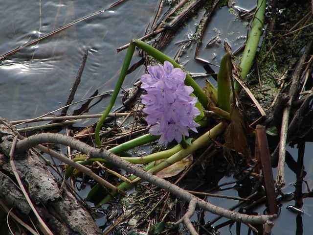 b0061261_20592343.jpg
