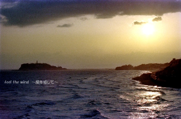 f0063363_2364116.jpg