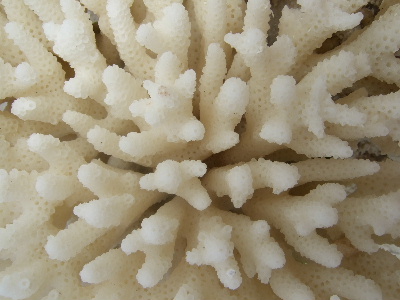 d0102664_22541113.jpg