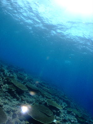 d0102664_22573985.jpg