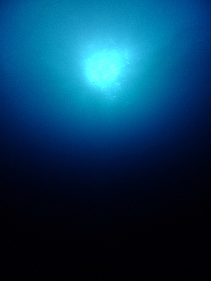 d0102664_2259972.jpg