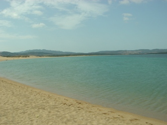 c0102268_2323646.jpg