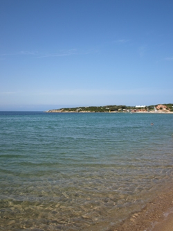 c0102268_2333890.jpg