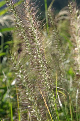 f0054075_21203376.jpg