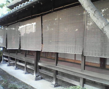 d0056881_0211192.jpg