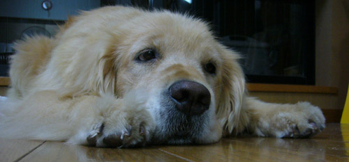 c0085188_20105759.jpg
