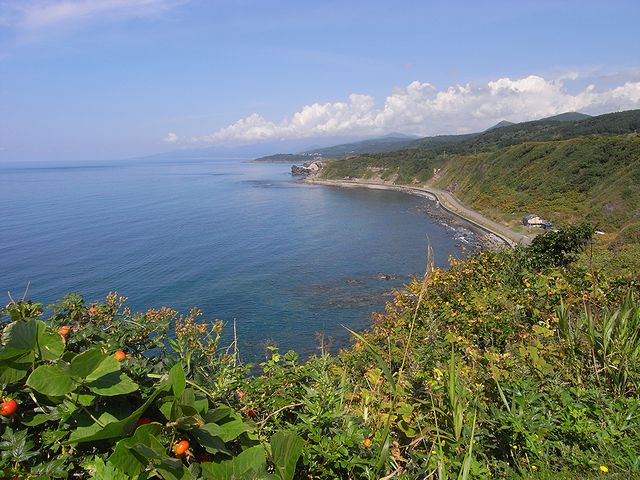 a0093592_1224142.jpg