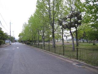 d0121300_22364783.jpg