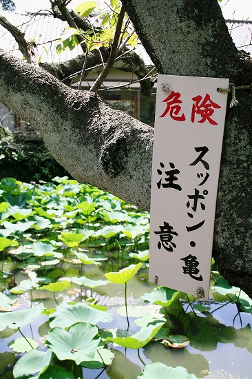 d0112003_11205791.jpg