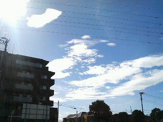 f0127408_1232527.jpg