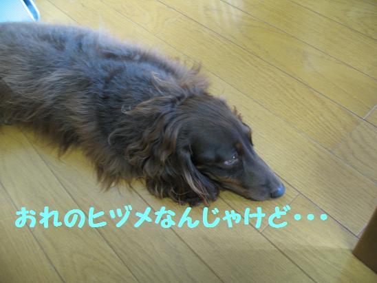 c0123115_16593323.jpg