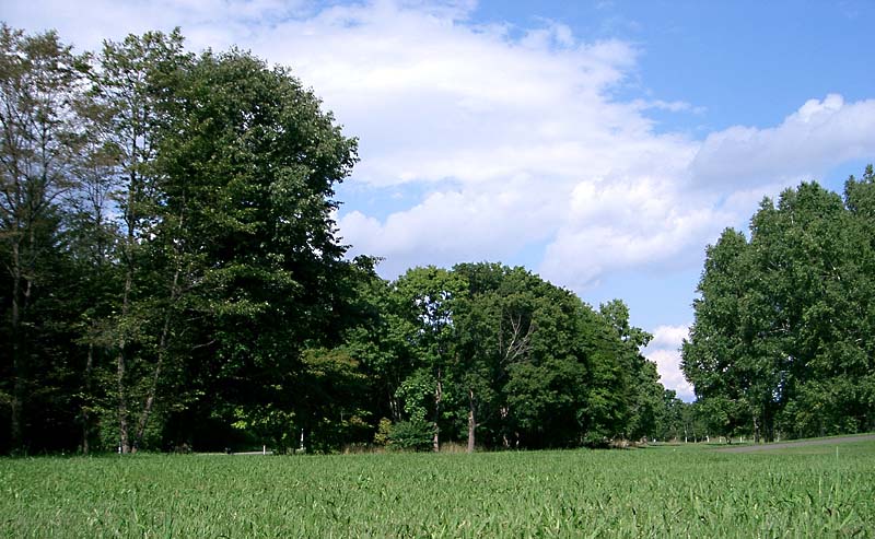 b0118416_21542678.jpg