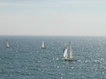 d0010319_2262223.jpg