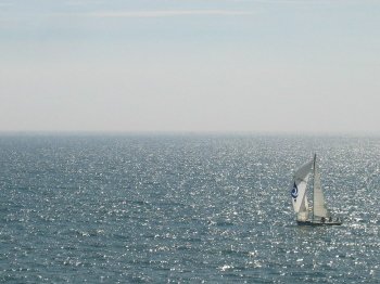 d0010319_226654.jpg