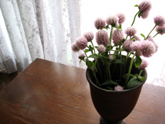 b0080027_12244021.jpg