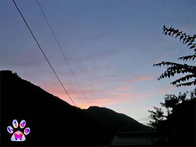 d0029829_9312138.jpg