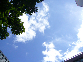 f0023329_22203873.jpg