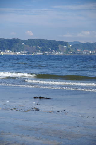 b0117437_12295555.jpg