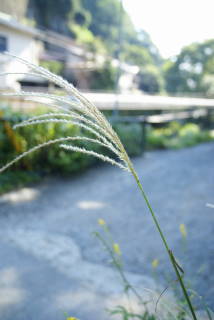 b0117437_12345946.jpg