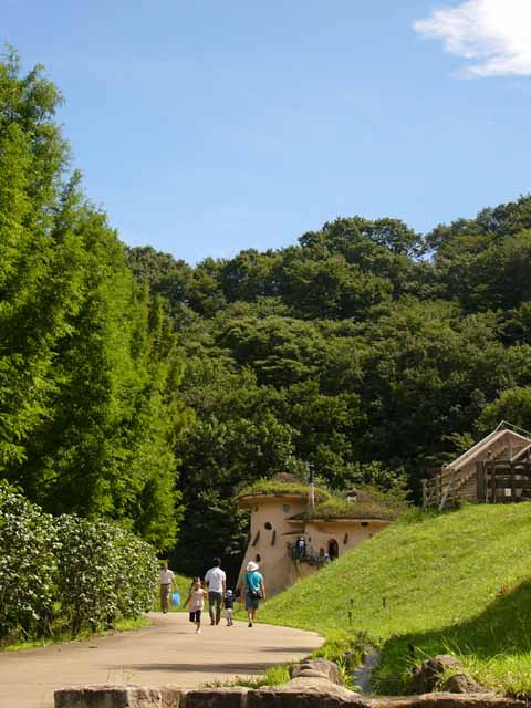e0089438_1824899.jpg