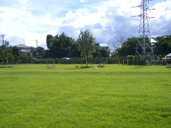 e0106440_8511323.jpg