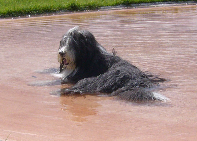 e0106440_85717100.jpg