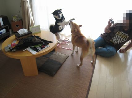 f0058241_13284944.jpg