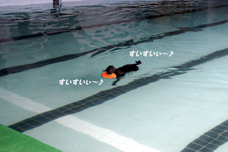 f0018144_10351578.jpg