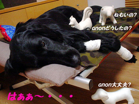 f0018144_10491953.jpg