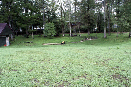 f0018144_1055984.jpg