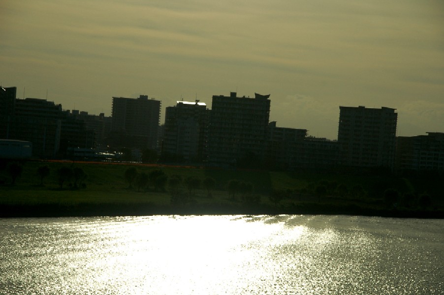 e0009147_8372920.jpg
