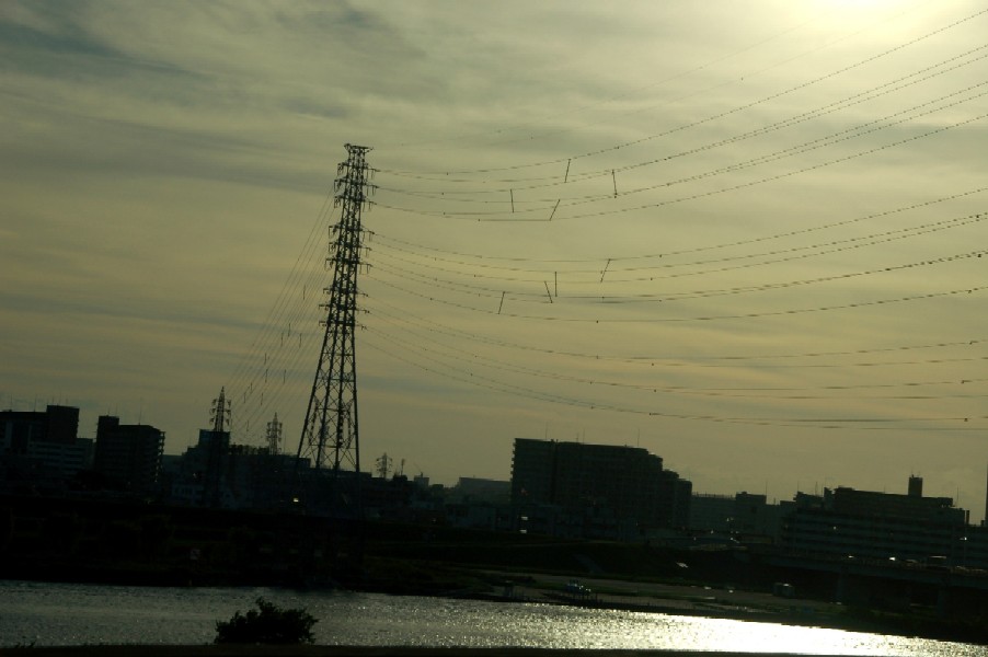 e0009147_8374999.jpg