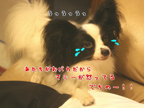 d0013149_0184253.jpg