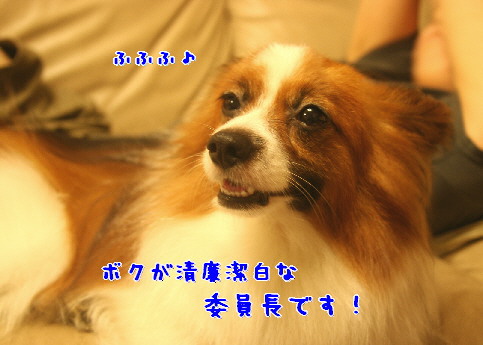 d0013149_023494.jpg