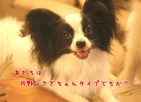 d0013149_0315630.jpg