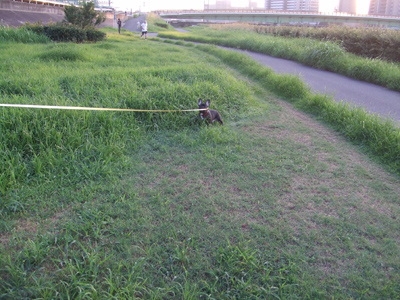 e0126054_12352754.jpg