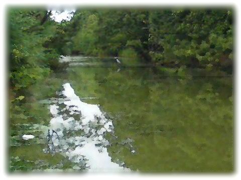 f0101759_20533828.jpg