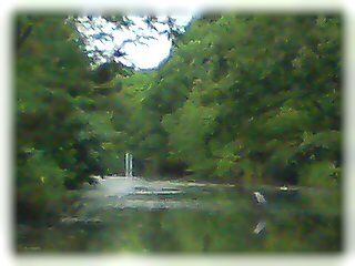 f0101759_20543180.jpg