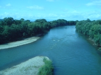 c0108460_20165193.jpg