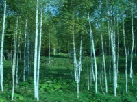 c0108460_2029297.jpg