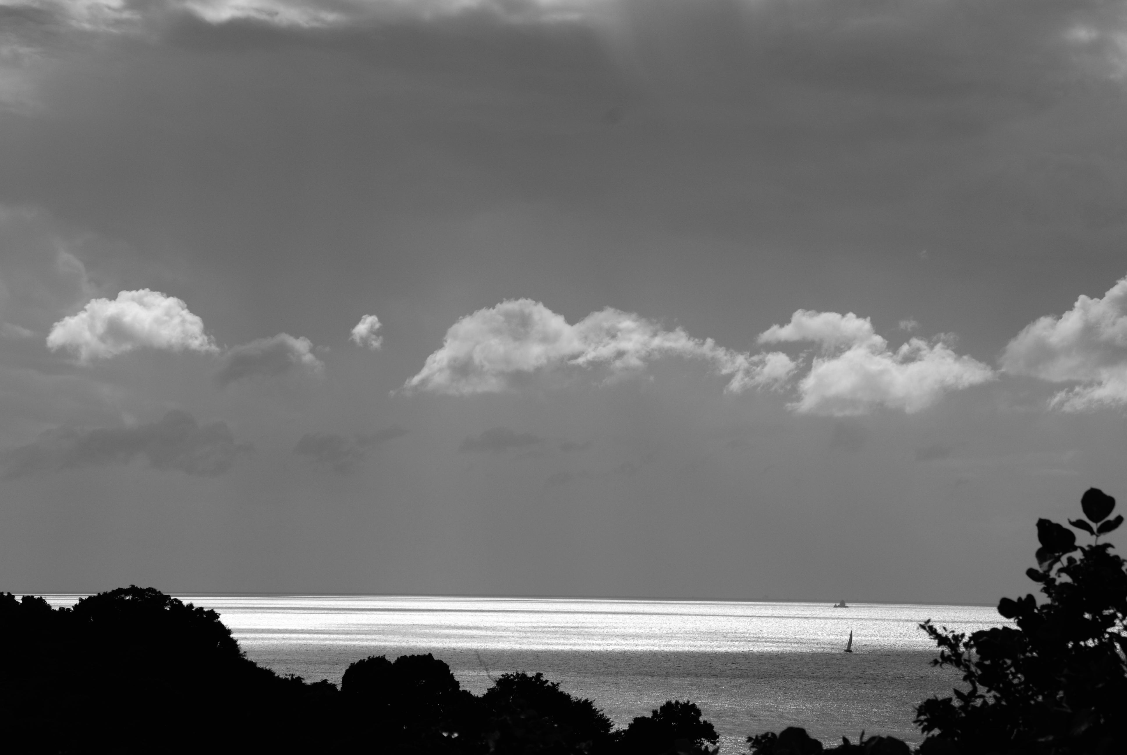 e0053660_23362461.jpg