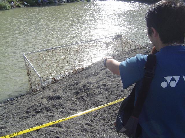 b0024266_21391848.jpg