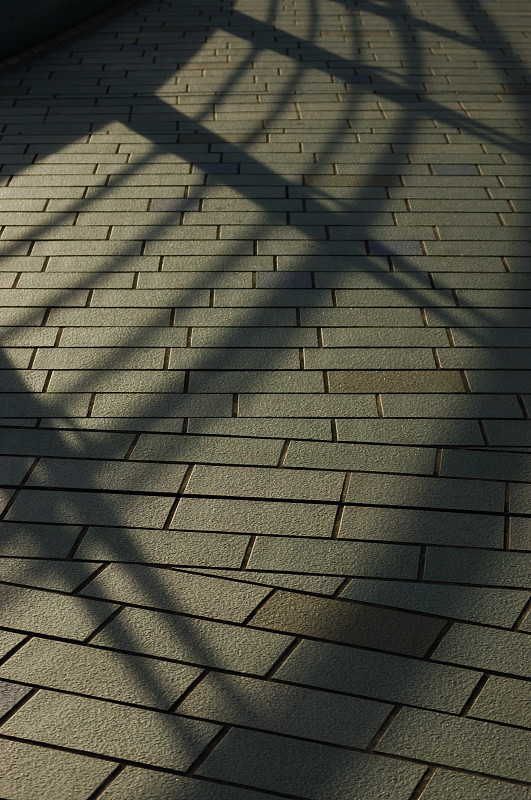 c0084666_910064.jpg