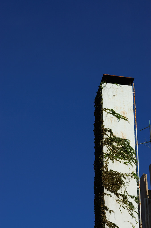 c0084666_917406.jpg
