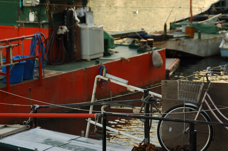 c0084666_97576.jpg