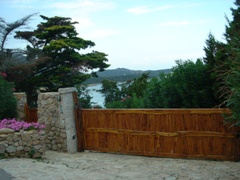 c0102268_114366.jpg