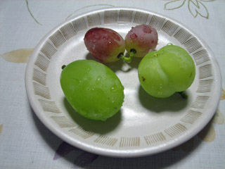 f0041673_331268.jpg